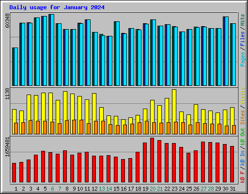 Daily usage for January 2024