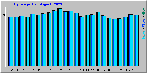 Hourly usage for August 2023