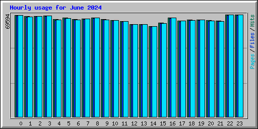 Hourly usage for June 2024