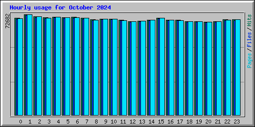 Hourly usage for October 2024