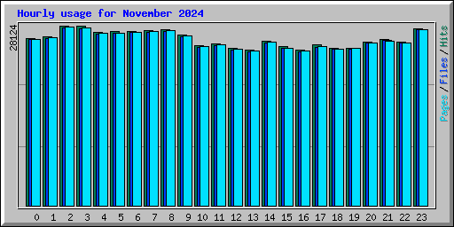 Hourly usage for November 2024