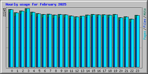 Hourly usage for February 2025