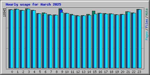 Hourly usage for March 2025