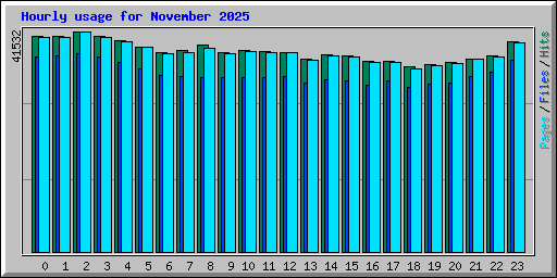 Hourly usage for November 2025