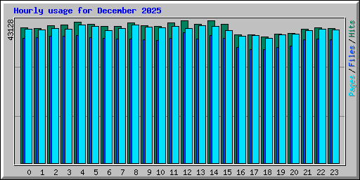 Hourly usage for December 2025