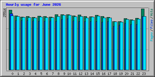 Hourly usage for June 2026