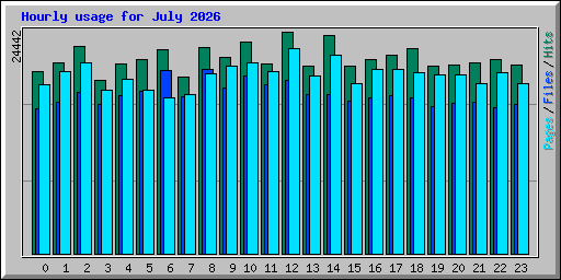 Hourly usage for July 2026